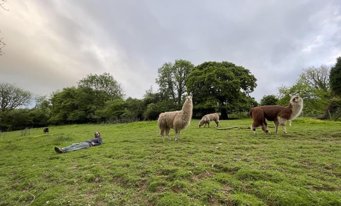 In the field